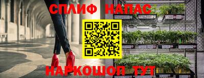 МДПВ Пугачёв