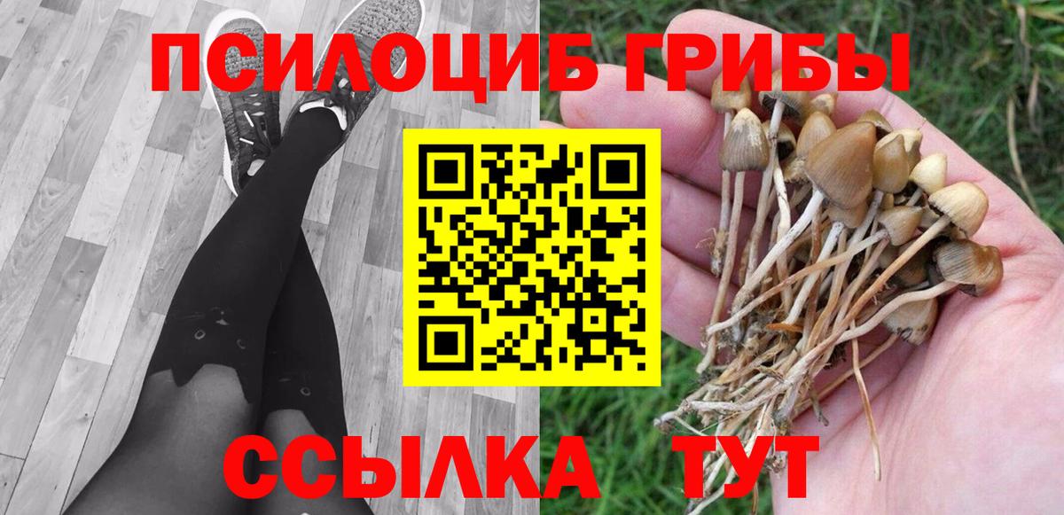 Сатка  Галлюциногенные грибы Magic Shrooms  Вход с VPN 
